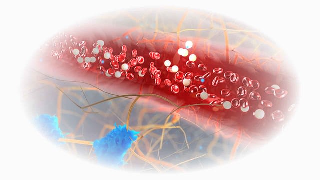 Dunkelfeldmikroskopie Blut