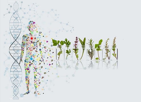 Naturheilkunde Dresden mit Heilpraktikerin Marion Reichel