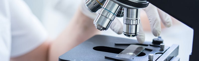 isopathische Therapie - mit einem Mikroskop begleitet