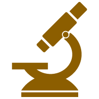 Mit bewährten und modernen Diagnosemöglichkeiten Ursachen finden.