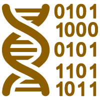 Individuelle Therapie Dresden mit Heilpraktikerin Marion Reichel